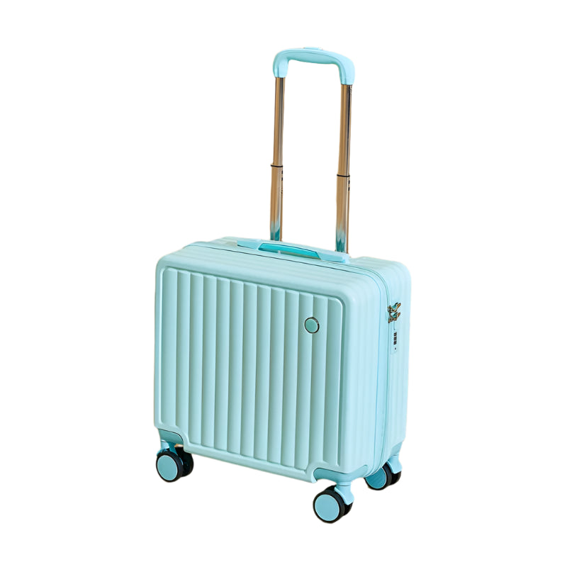 Carry On Travel Case
