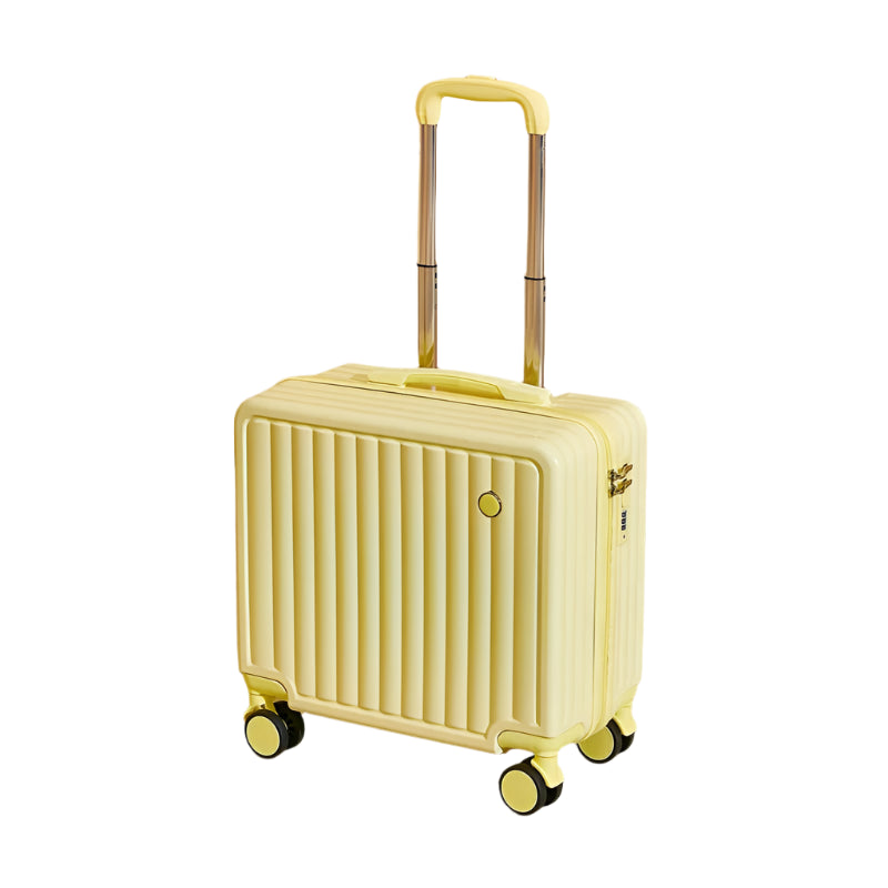 Carry On Travel Case